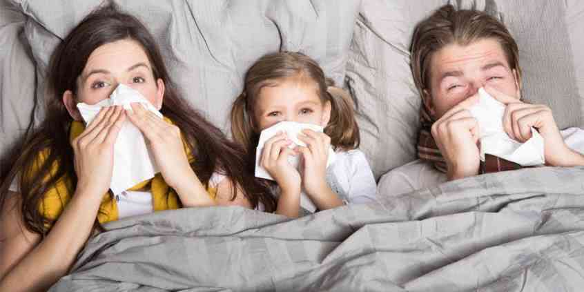 Co to jest alergia na kurz domowy?