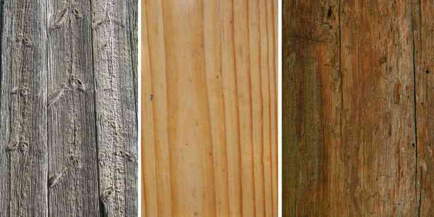 Druhy dřeva a jejich charakteristika