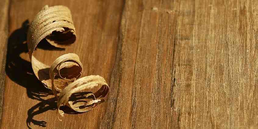 Teak – drewno twarde i wytrzymałe